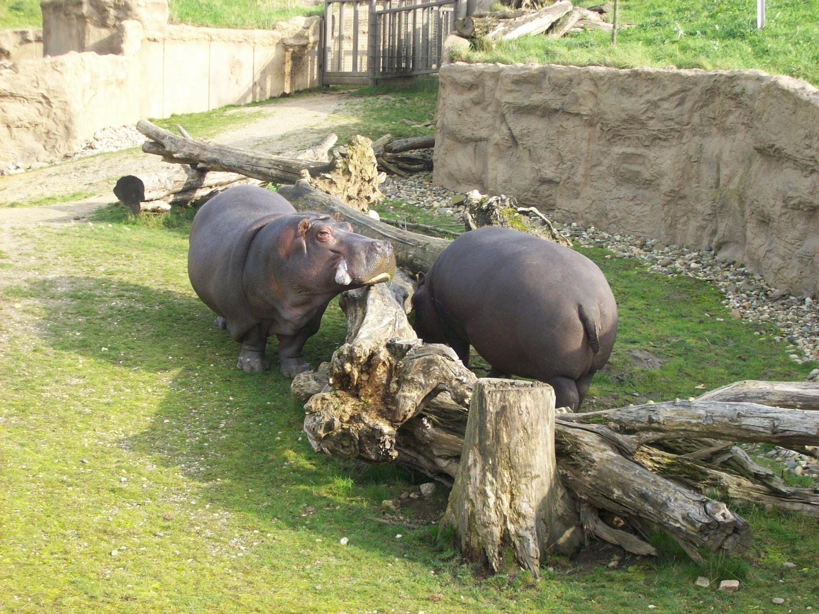 Zoom 18.10.2008-191.jpg